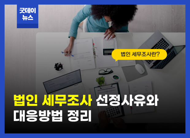 법인세무조사_썸.png